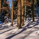 Brockenwanderung V - Harz