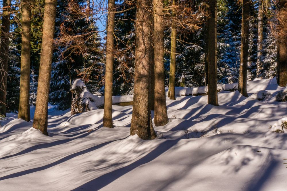 Brockenwanderung V - Harz