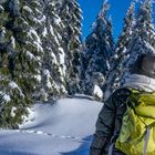 Brockenwanderung VI - Harz