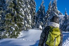 Brockenwanderung VI - Harz