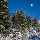 Brockenwanderung XIV - Harz