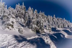 Brockenwanderung XVII - Harz