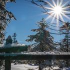 Brockenwanderung XXI - Harz