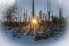 Brockenwanderung XXIV - Harz