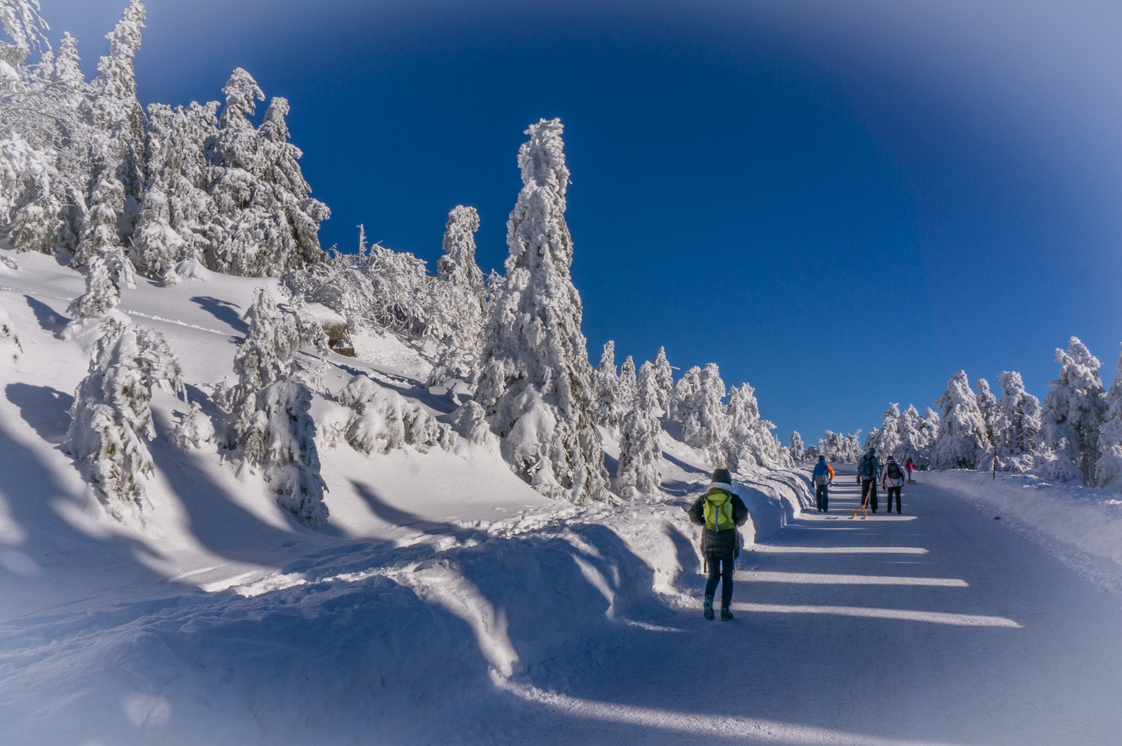 Brockenwanderung XXVIII - Harz