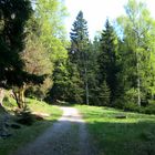 Brockenwanderweg