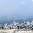 Brockenwinter im Mai