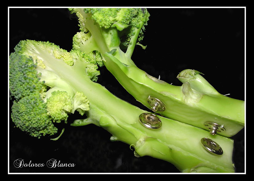 Brocoli y broches