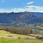 Brodenbach