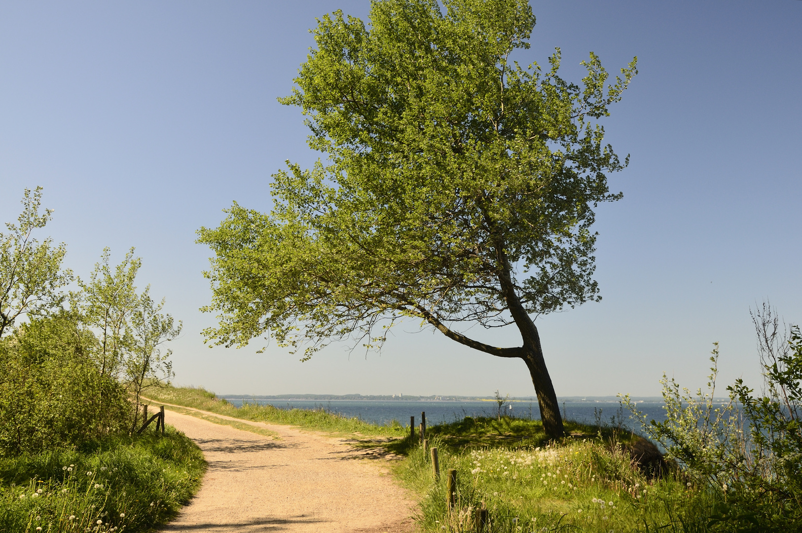 Brodtner Steilufer mit Blick auf die Lübecker Bucht