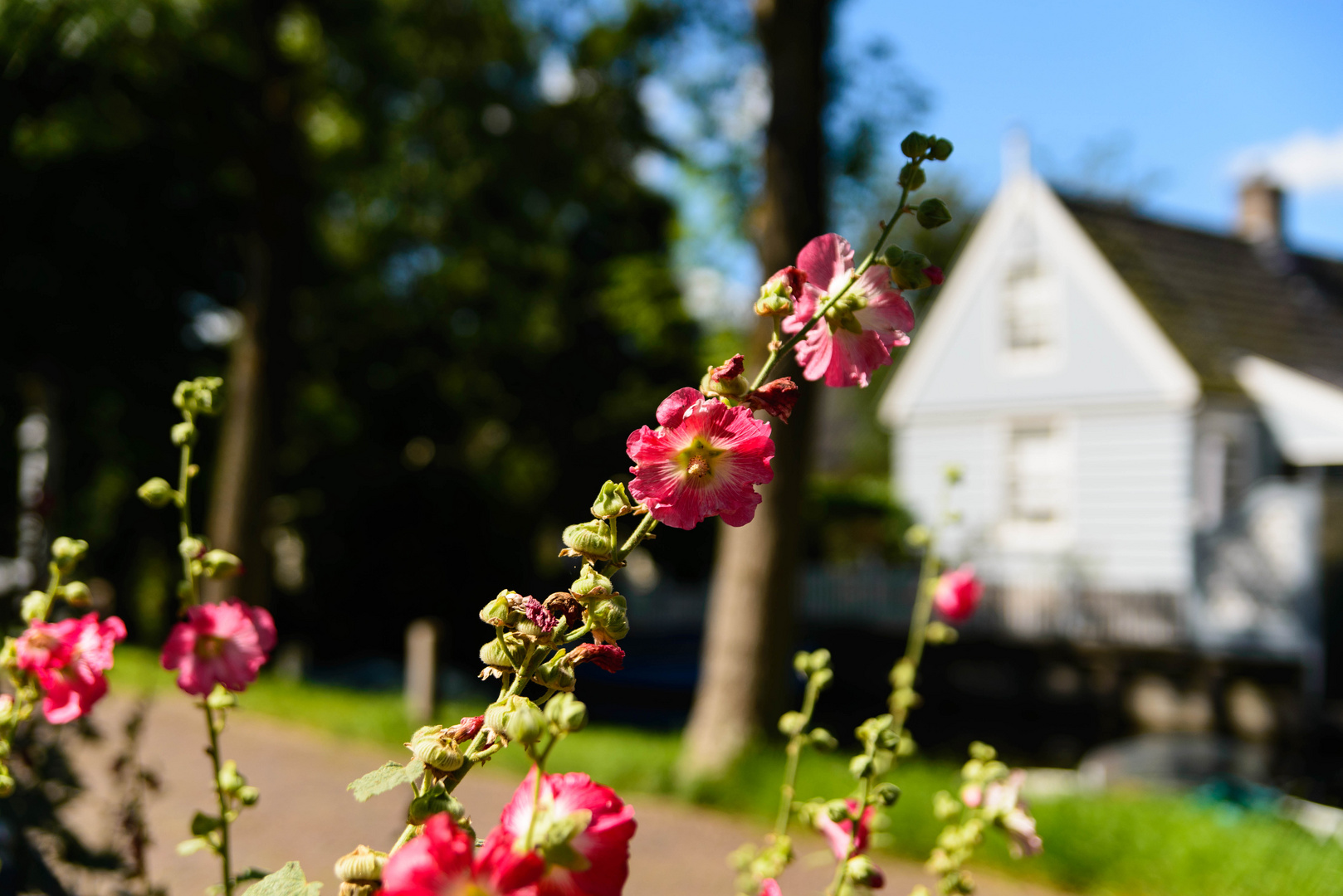 [ Broek in Waterland 2 ]