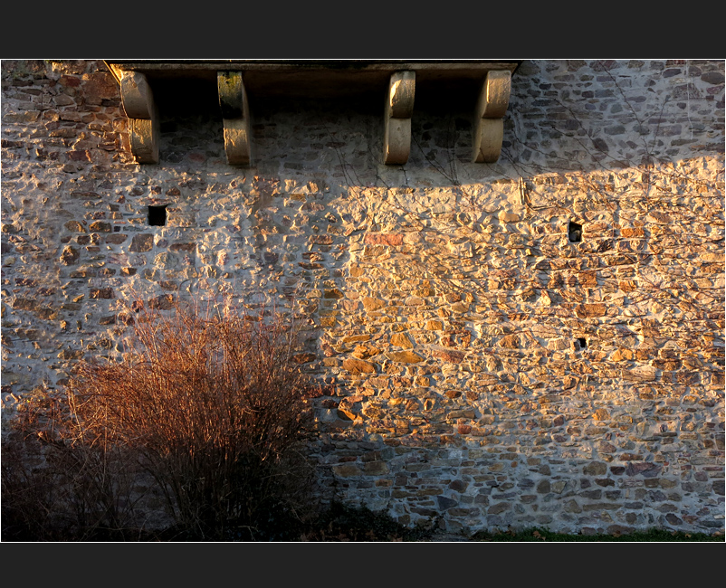 Brömserburg im Vorfrühlingspätnachmittaglicht