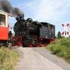 Brohltalbahn Dampf mit HSB 99 6101 am 02.09.2012 (Bild 2)