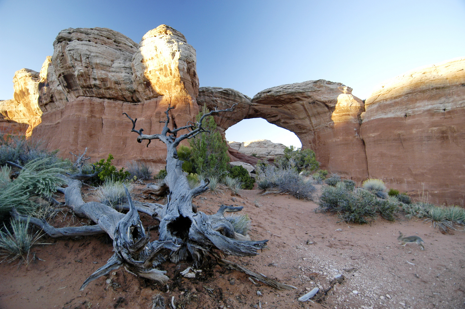 broken ARCH View