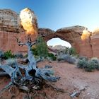 broken ARCH View