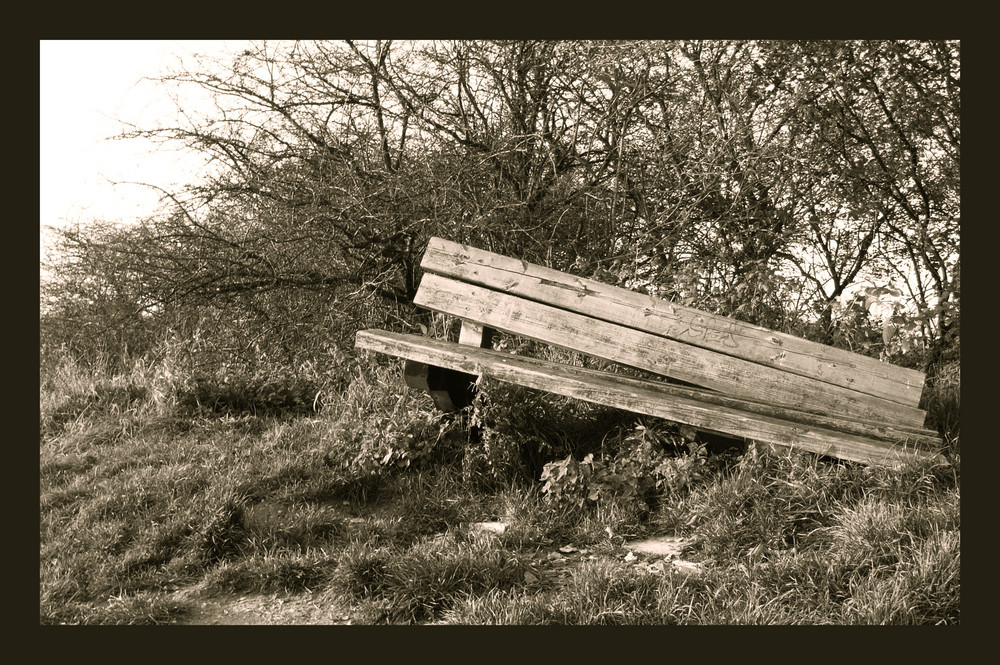 Broken Bench