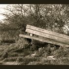 Broken Bench