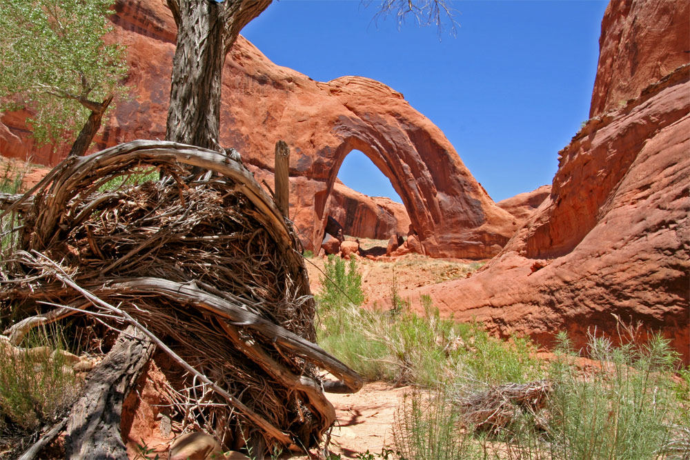 Broken bow arch