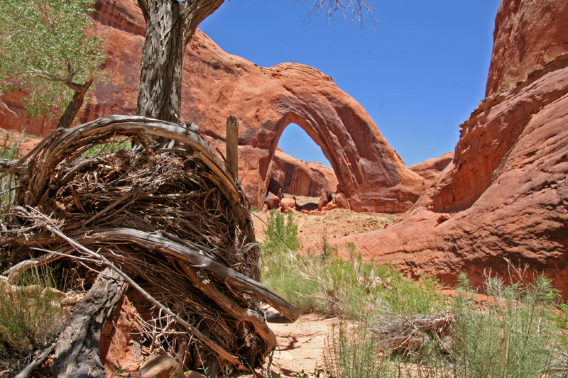 Broken bow arch, HITR Rd.