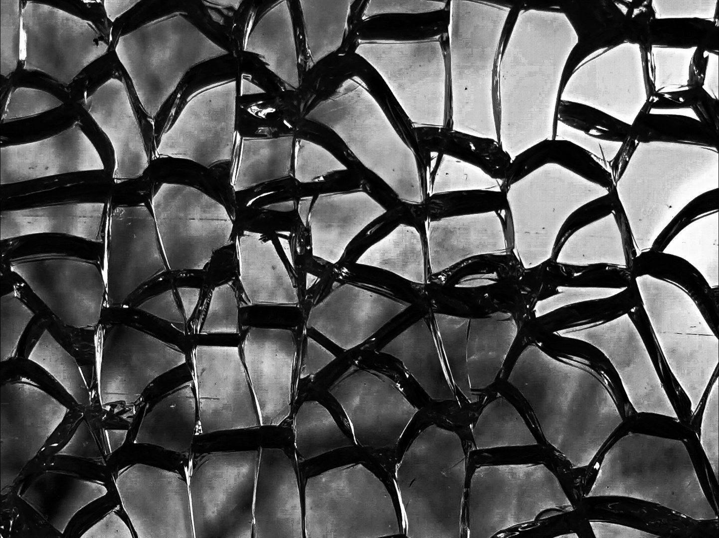 Broken Glas - sigNATUR - schwarzweiss