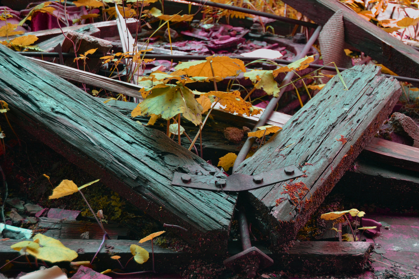 broken roof