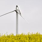 BrokenWing - Burnout - auch Windräder müssen mal ruhen.