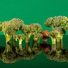 Brokoli - Wald