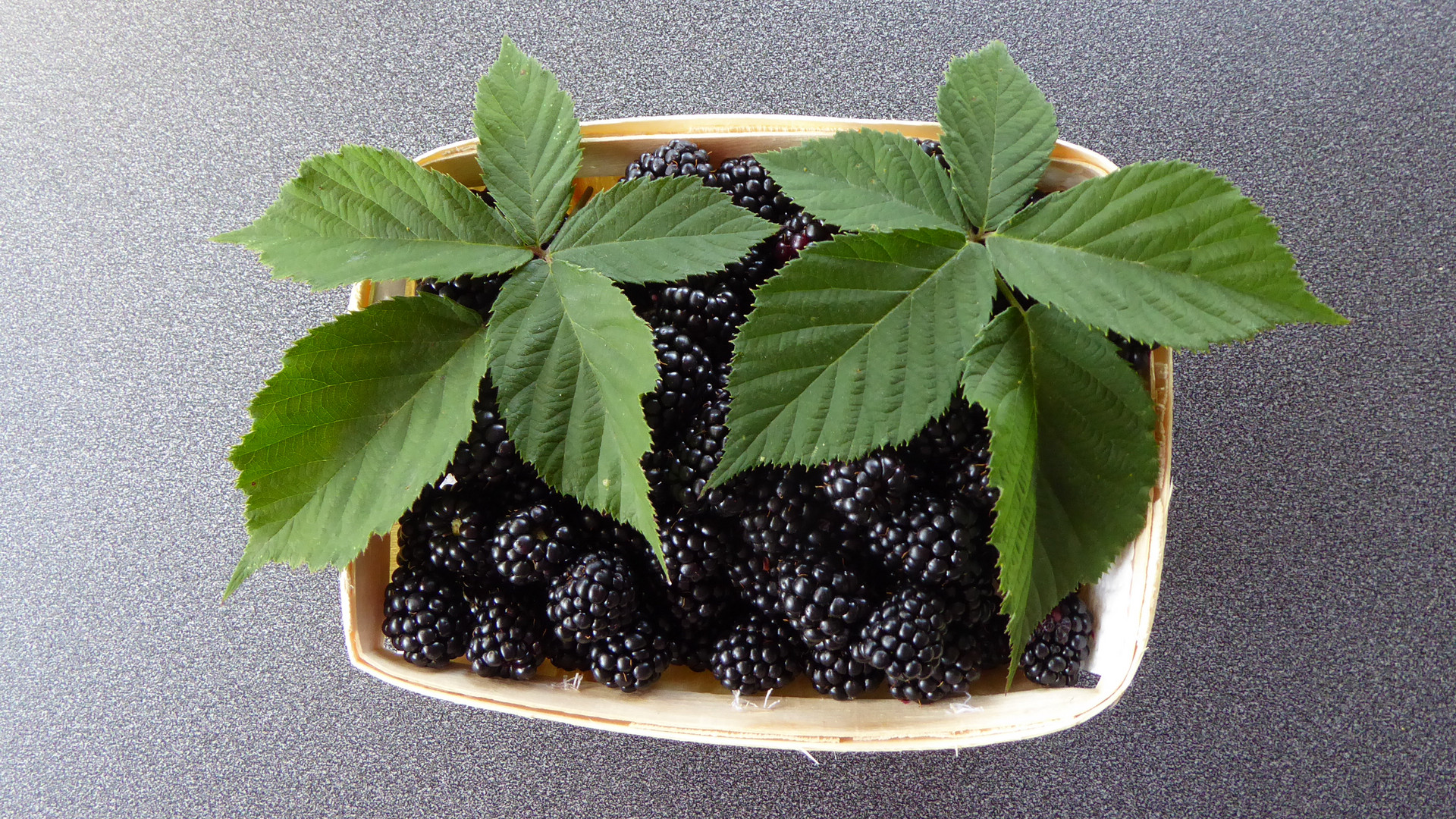 Brombeeren