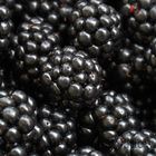 Brombeeren