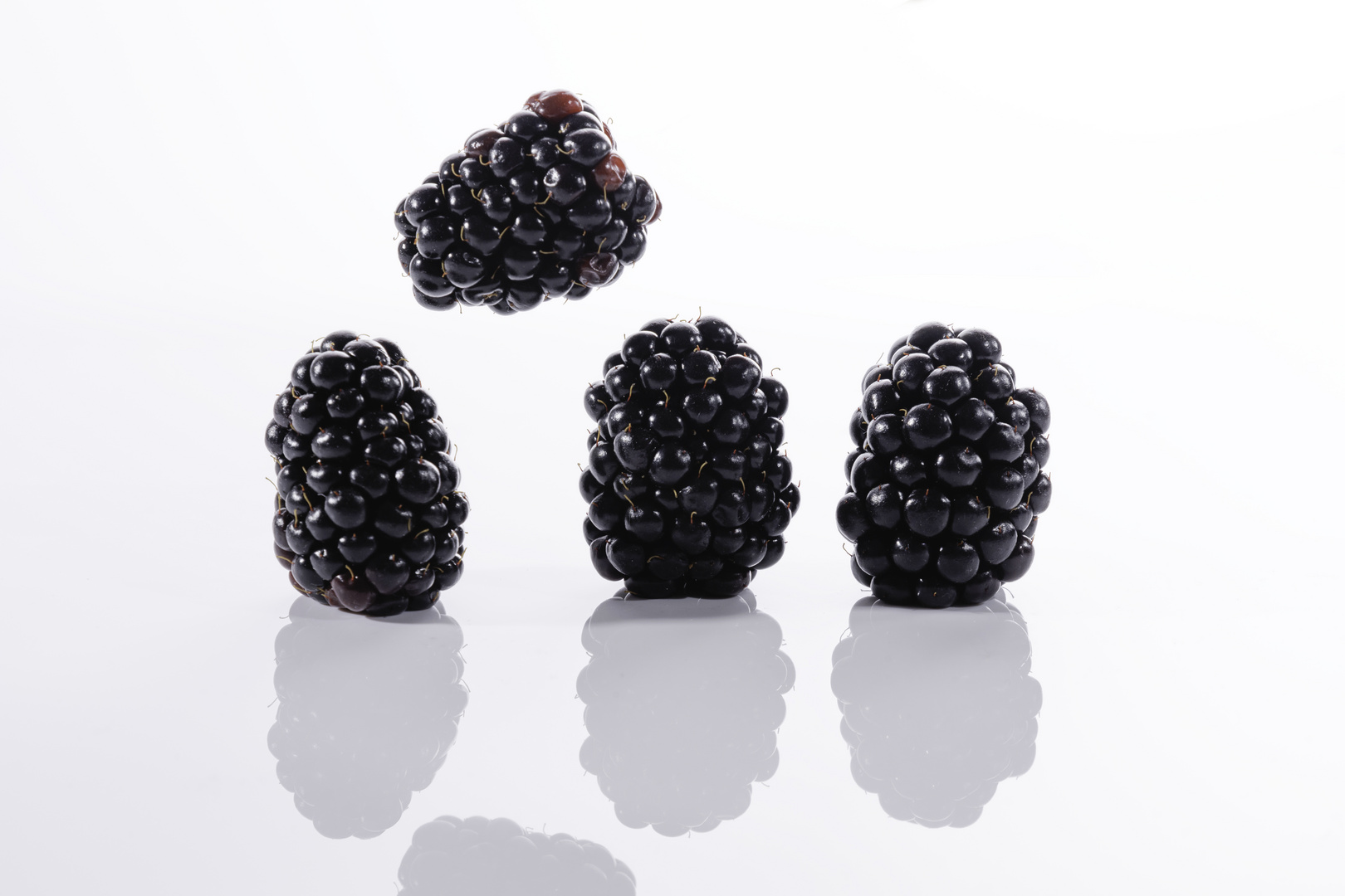 Brombeeren / blackberry