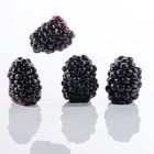 Brombeeren / blackberry