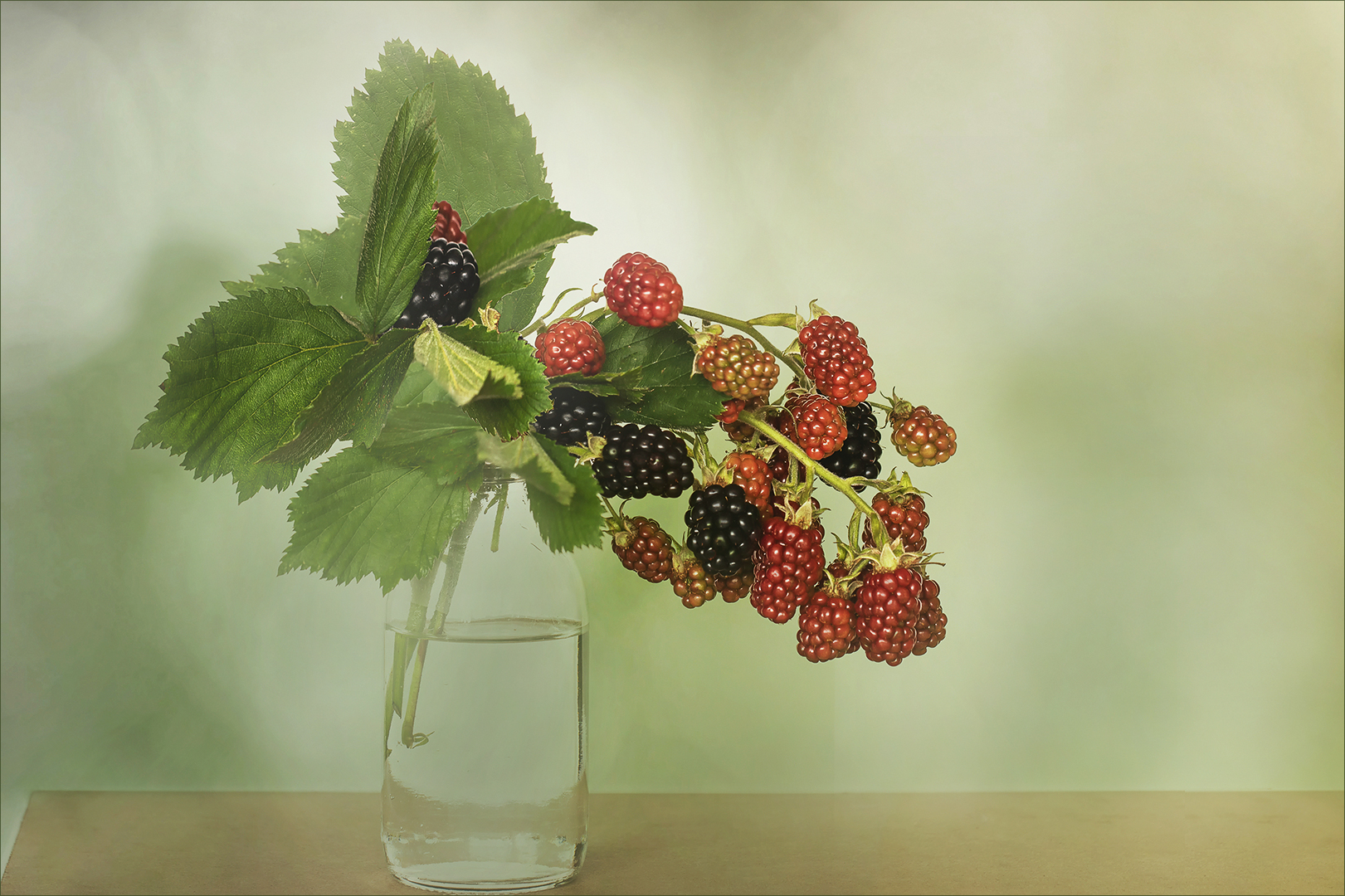 Brombeeren, 