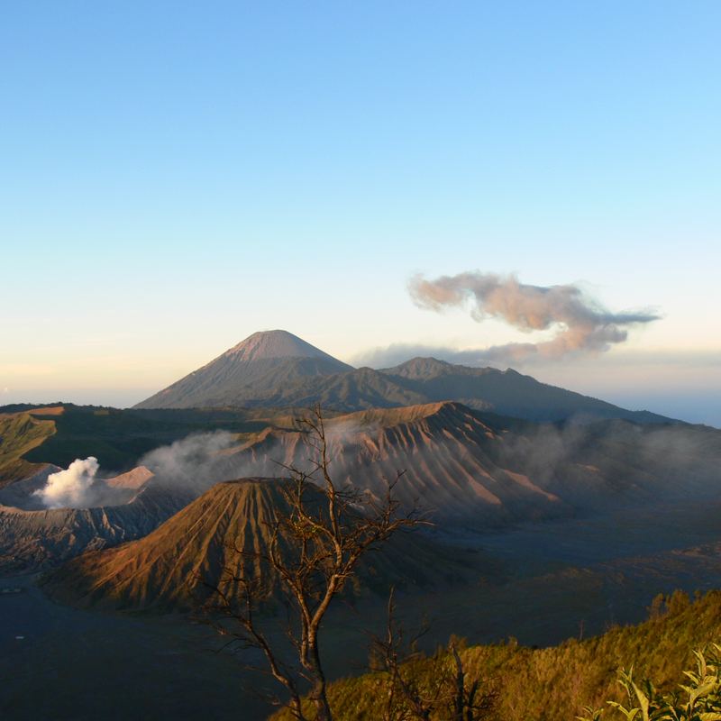 Bromo