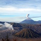 Bromo