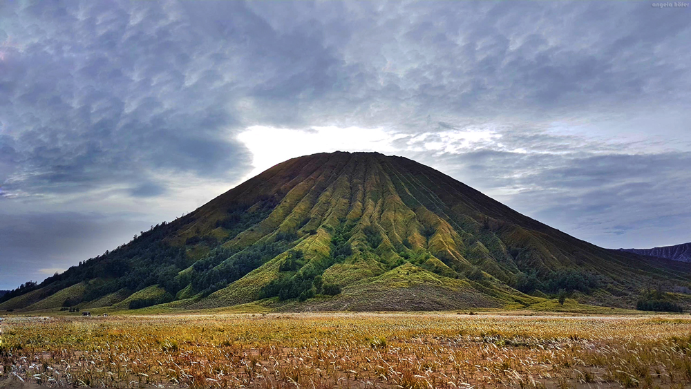 bromo