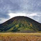 bromo