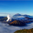 Bromo