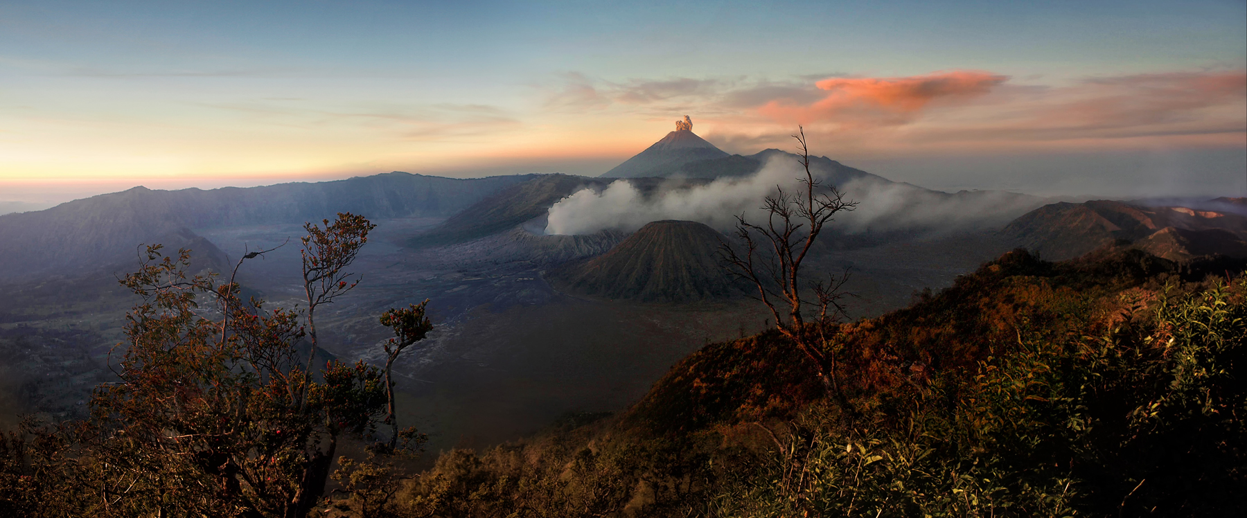 [ bromo ]