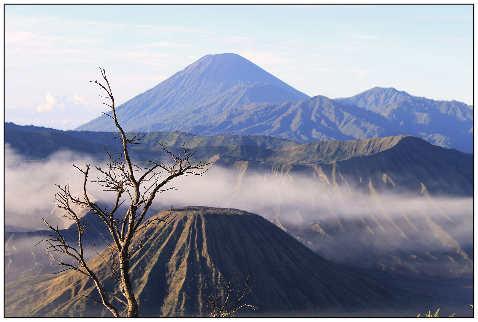 Bromo