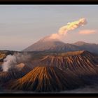 bromo...