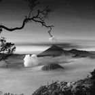 Bromo in BW