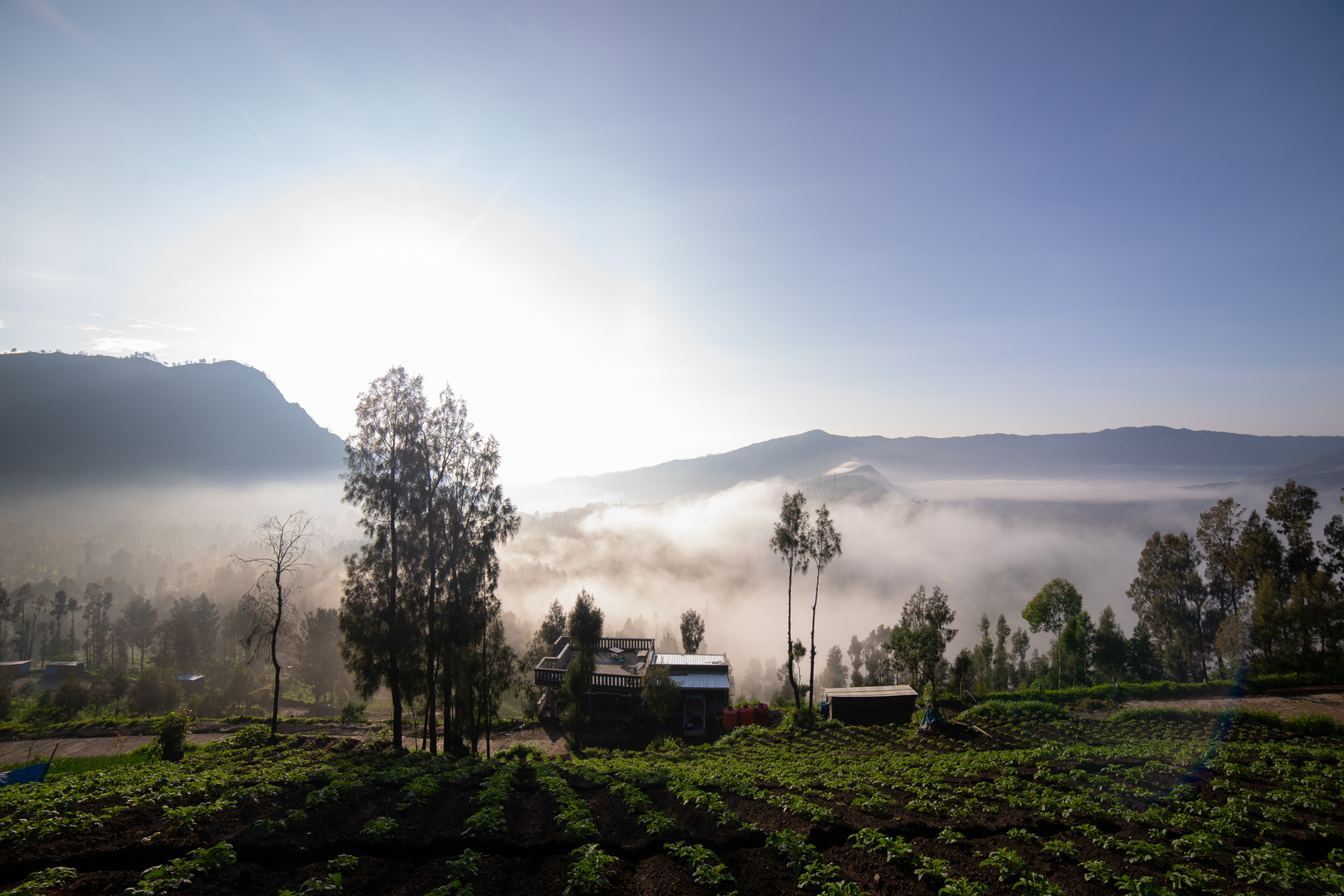 Bromo Morning