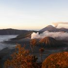 Bromo Volcano