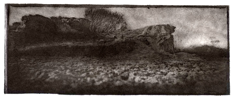 Bromoil print