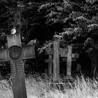 Brompton Cemetary 1