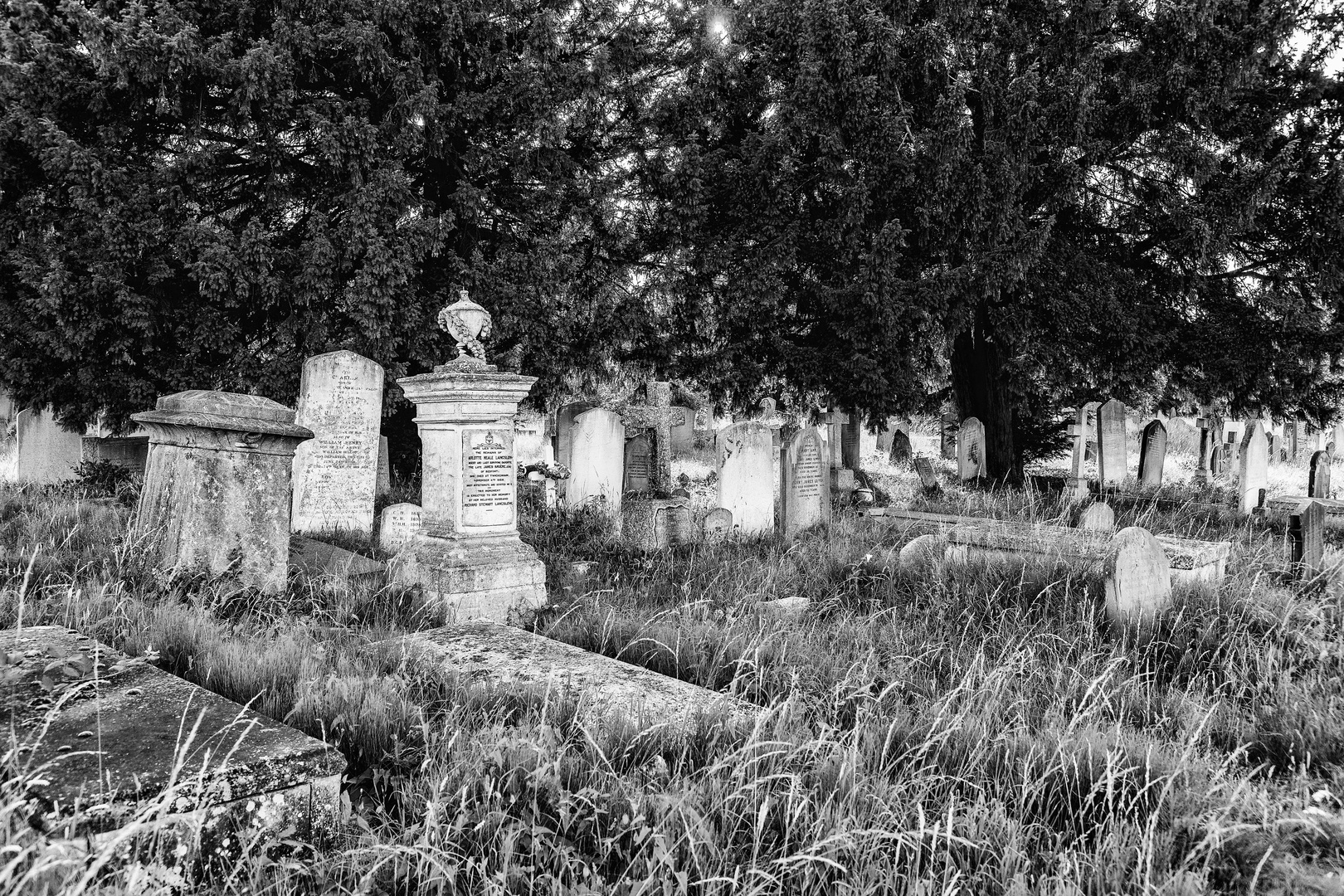 Brompton Cemetary 2