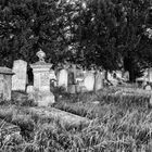 Brompton Cemetary 2