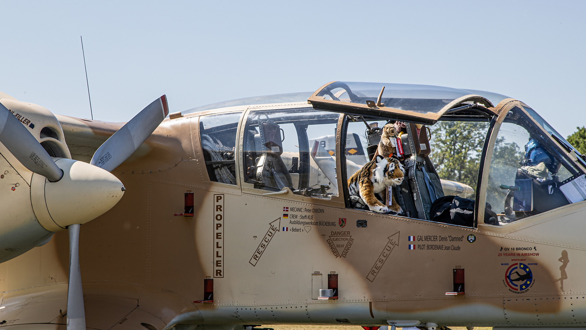 Bronco Maskottchen