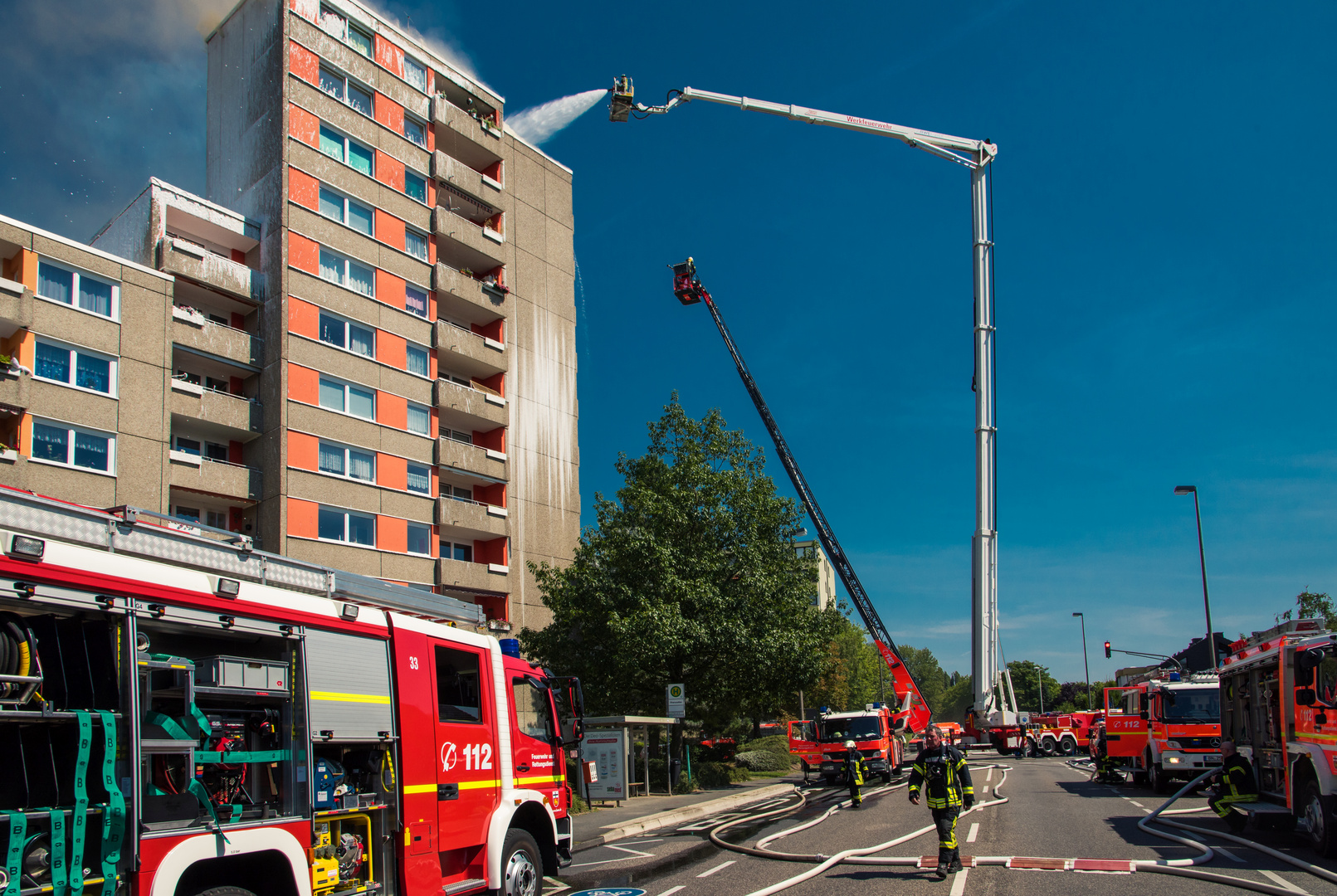 Brontosaurus im Einsatz