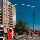 Brontosaurus im Einsatz